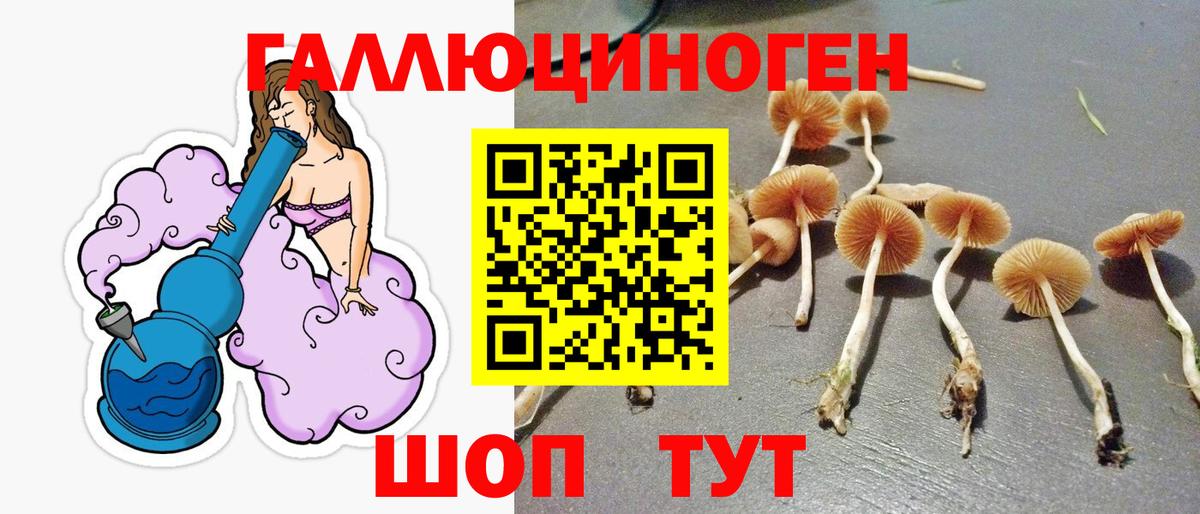 Псилоцибиновые грибы MAGIC MUSHROOMS  Вход с VPN  Галлюциногенные грибы MAGIC MUSHROOMS  Екатеринбург 